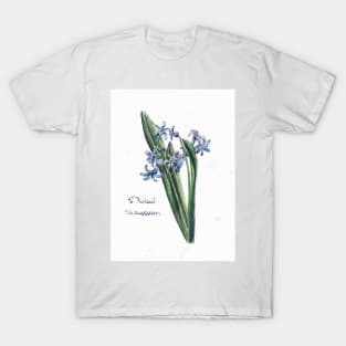 Wild hyacinth T-Shirt